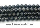 CAE324 15.5 inches 12mm round astrophyllite gemstone beads