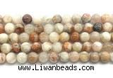 CSS852 15.5 inches 10mm round sunstone beads wholesale