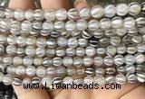 AGBS171 15 inches 6mm round tibetan dzi agate beads wholesale