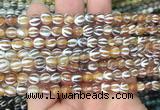 AGBS202 15 inches 6mm round tibetan dzi agate gemstone beads