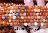 AGBS61 15 inches 6mm round orange botswana agate beads