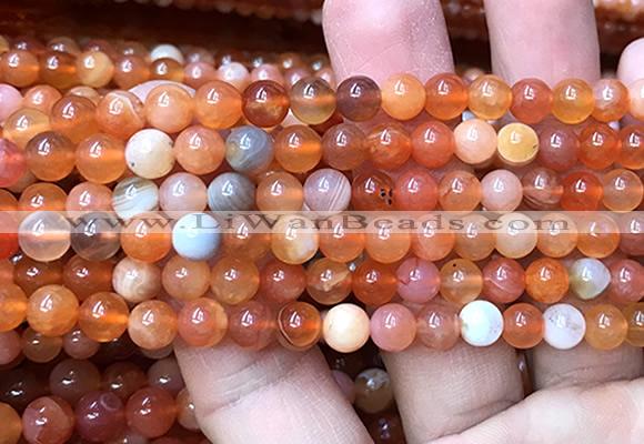 AGBS61 15 inches 6mm round orange botswana agate beads