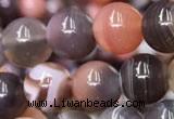 CAA1252 15.5 inches 8mm round Botswana agate beads wholesale