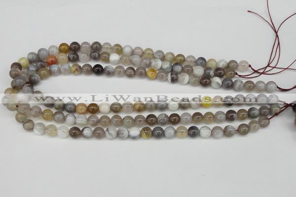 CAA224 15.5 inches 8mm round botswana agate gemstone beads