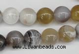 CAA226 15.5 inches 12mm round botswana agate gemstone beads