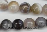 CAA227 15.5 inches 14mm round botswana agate gemstone beads