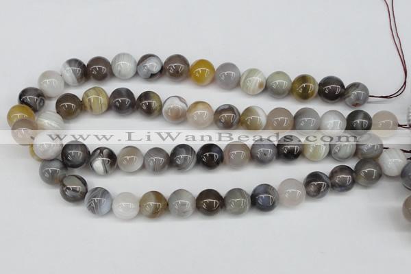 CAA227 15.5 inches 14mm round botswana agate gemstone beads