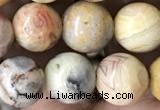 CAA2351 15.5 inches 10mm round crazy lace agate beads wholesale