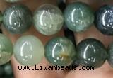 CAA2358 15.5 inches 8mm round moss agate beads wholesale