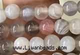 CAA2378 15.5 inches 4mm round Botswana agate beads wholesale