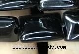 CAA2567 15.5 inches 12*16mm rectangle black agate beads wholesale