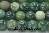 CAA3516 15.5 inches 6mm round AB-color grass agate beads wholesale