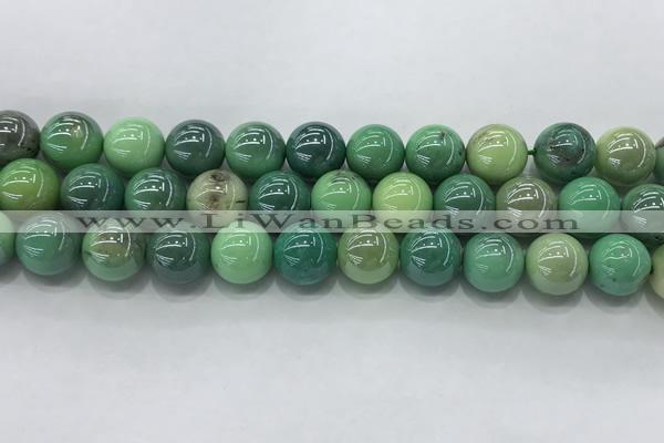 CAA3519 15.5 inches 12mm round AB-color grass agate beads wholesale