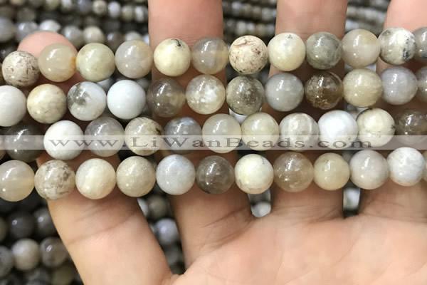 CAA3583 15.5 inches 8mm round ocean fossil agate beads wholesale