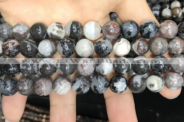 CAA3594 15.5 inches 10mm round black zebra agate beads wholesale