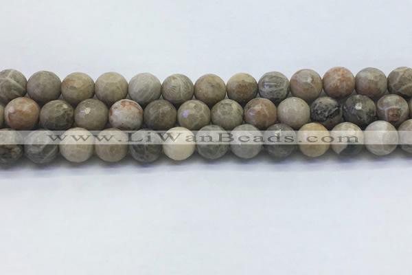 CAA3963 15.5 inches 10mm faceted round chrysanthemum agate beads