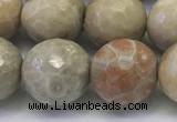 CAA3965 15.5 inches 14mm faceted round chrysanthemum agate beads