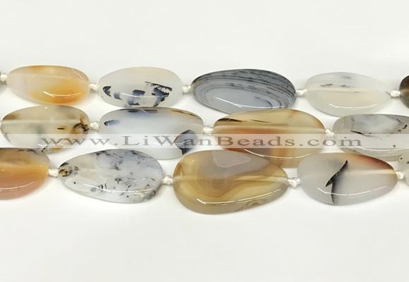 CAA4394 15.5 inches 18*28mm - 30*45mm freeform Montana agate beads