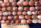 CAA4570 15.5 inches 12*15mm - 12*18mm rice south red agate beads