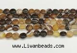 CAA4580 15.5 inches 10mm flat round banded agate beads wholesale