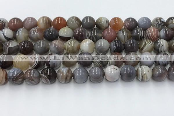 CAA4867 15.5 inches 10mm round Botswana agate beads wholesale