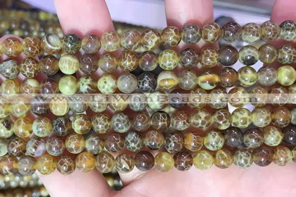 CAA5037 15.5 inches 6mm round yellow dragon veins agate beads