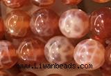 CAA5071 15.5 inches 6mm round red dragon veins agate beads