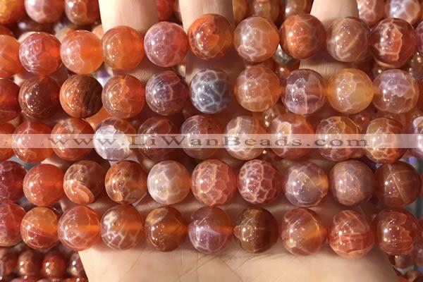 CAA5074 15.5 inches 12mm round red dragon veins agate beads