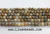 CAA5291 15.5 inches 6mm faceted round crazy lace agate beads wholesale