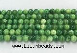 CAA5406 15.5 inches 8mm round peacock serpntine gemstone beads wholesale