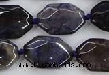 CAA595 15.5 inches 18*25mm faceted octagonal dragon veins agate beads