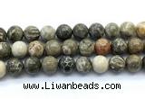 CAA6105 15.5 inches 14mm round chrysanthemum agate gemstone beads