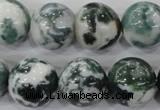 CAA705 15.5 inches 16mm round tree agate gemstone beads wholesale