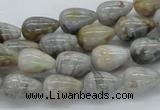 CAB143 15.5 inches 8*12mm teardrop bamboo leaf agate beads