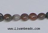 CAB448 15.5 inches 8mm flat round indian agate gemstone beads