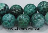 CAB54 15.5 inches 16mm round peafowl agate gemstone beads wholesale