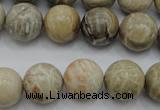 CAG3885 15.5 inches 14mm round chrysanthemum agate beads