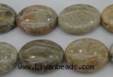 CAG3903 15.5 inches 15*20mm oval chrysanthemum agate beads