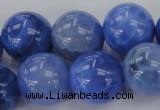 CAG4304 15.5 inches 12mm round dyed blue fire agate beads