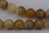 CAG4323 15.5 inches 10mm round botswana agate gemstone beads