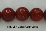 CAG446 15.5 inches 16mm round red agate gemstone beads wholesale