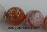 CAG5567 15.5 inches 18mm round natural fire agate beads wholesale