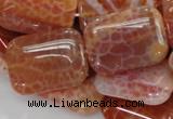 CAG571 15.5 inches 30*40mm rectangle natural fire agate beads