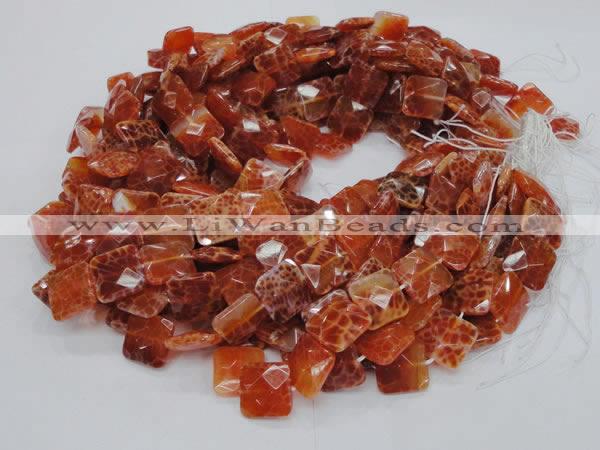 CAG651 15.5 inches 14*14mm faceted square natural fire agate beads