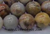 CAG6678 15.5 inches 20mm round natural crazy lace agate beads