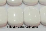 CAG7275 15.5 inches 18*25mm rectangle double drilled white agate beads