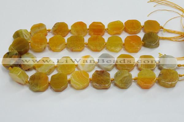 CAG7356 15.5 inches 18*20mm - 20*22mm octagonal dragon veins agate beads