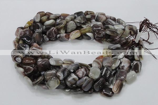 CAG737 15.5 inches 10*14mm rectangle botswana agate beads wholesale