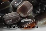 CAG739 15.5 inches 14*18mm rectangle botswana agate beads wholesale