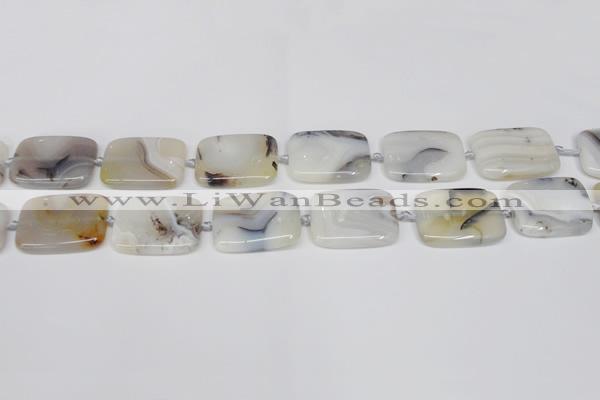 CAG7423 15.5 inches 18*25mm rectangle Montana agate beads